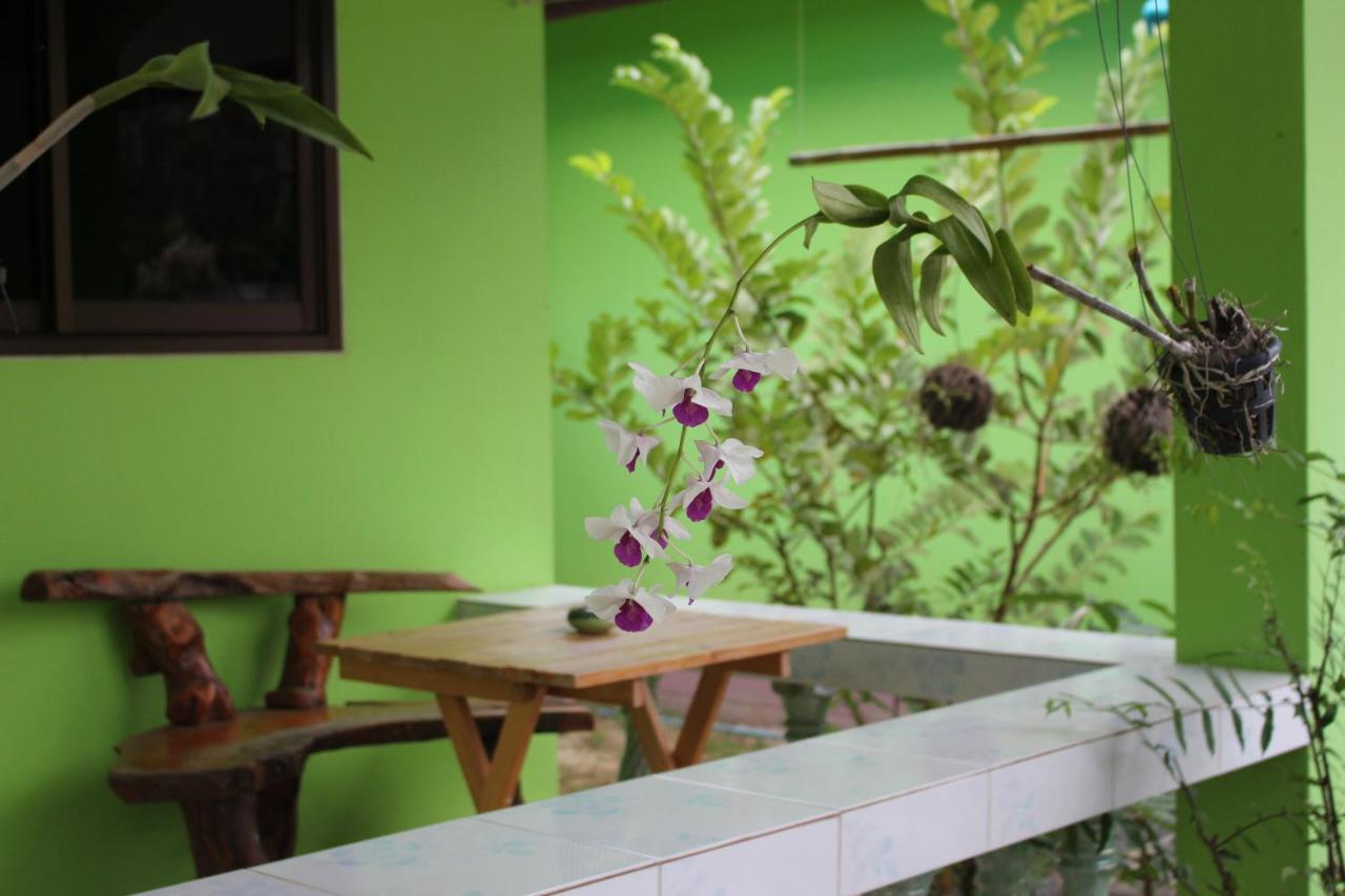 Papaya Cottage Csang-sziget Kültér fotó
